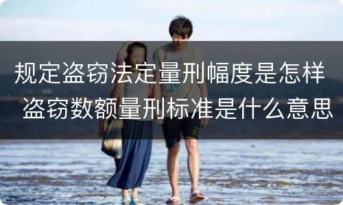 规定盗窃法定量刑幅度是怎样 盗窃数额量刑标准是什么意思