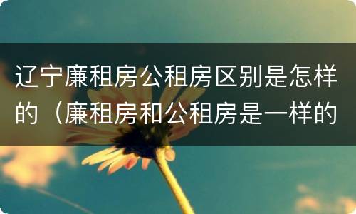 辽宁廉租房公租房区别是怎样的（廉租房和公租房是一样的吗）