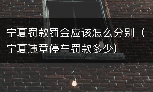 宁夏罚款罚金应该怎么分别（宁夏违章停车罚款多少）