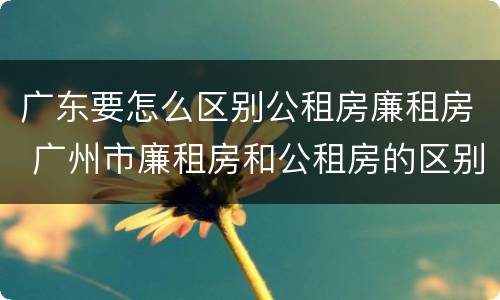 广东要怎么区别公租房廉租房 广州市廉租房和公租房的区别