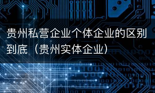 贵州私营企业个体企业的区别到底（贵州实体企业）