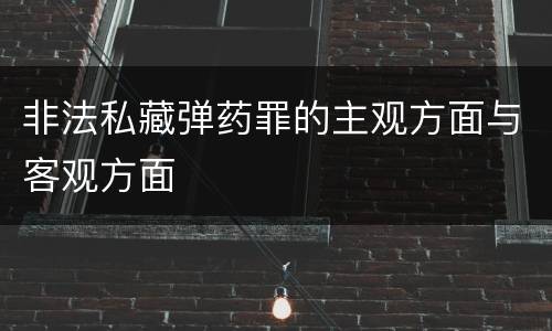 非法私藏弹药罪的主观方面与客观方面