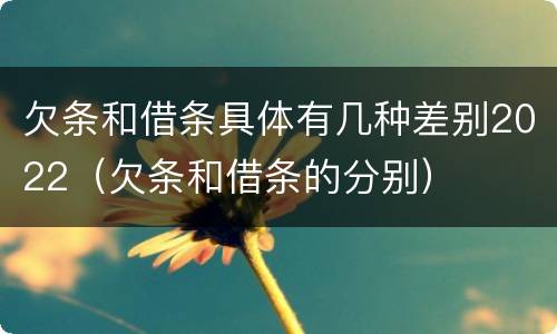 欠条和借条具体有几种差别2022（欠条和借条的分别）