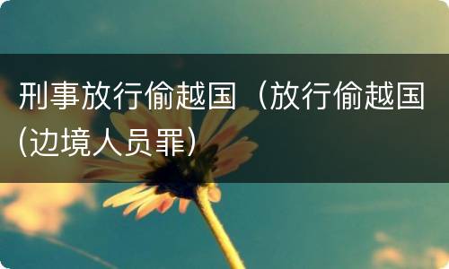 刑事放行偷越国（放行偷越国(边境人员罪）