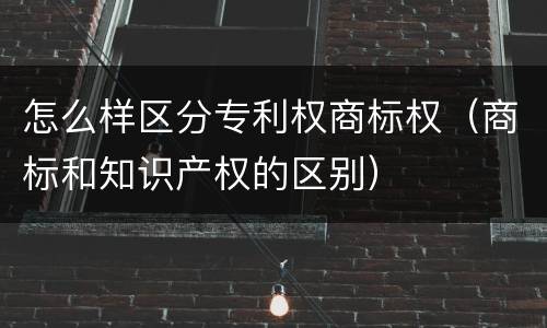 怎么样区分专利权商标权（商标和知识产权的区别）