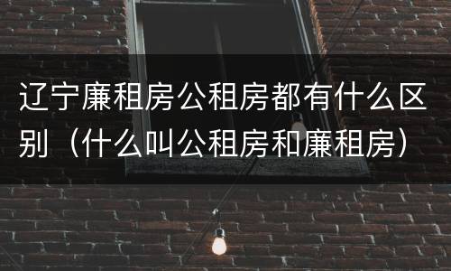 辽宁廉租房公租房都有什么区别（什么叫公租房和廉租房）