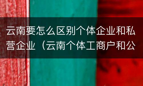 云南要怎么区别个体企业和私营企业（云南个体工商户和公司）