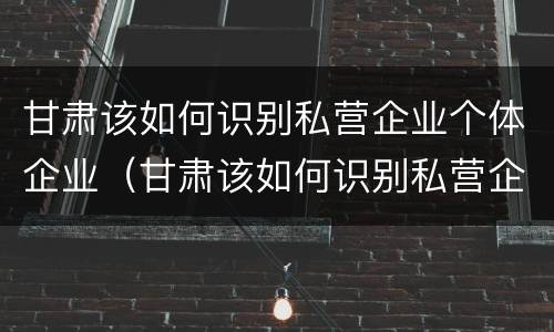 甘肃该如何识别私营企业个体企业（甘肃该如何识别私营企业个体企业信息）
