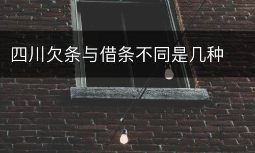 四川欠条与借条不同是几种