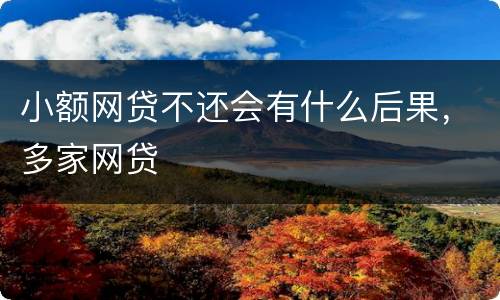 小额网贷不还会有什么后果，多家网贷