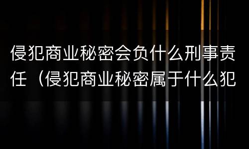 侵犯商业秘密会负什么刑事责任（侵犯商业秘密属于什么犯罪）