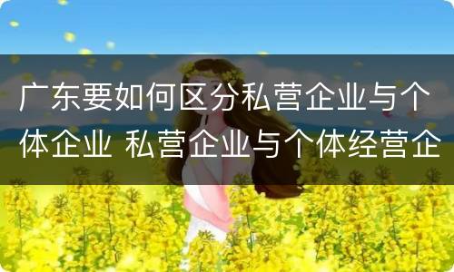 广东要如何区分私营企业与个体企业 私营企业与个体经营企业的区别