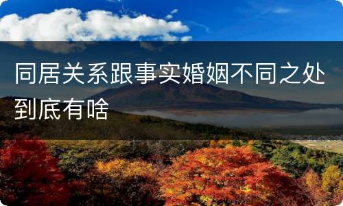 同居关系跟事实婚姻不同之处到底有啥