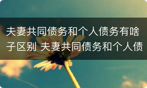 夫妻共同债务和个人债务有啥子区别 夫妻共同债务和个人债务有啥子区别呢