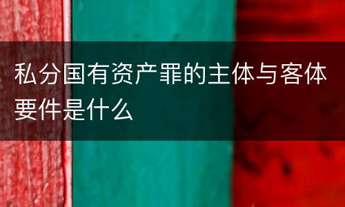 私分国有资产罪的主体与客体要件是什么