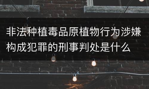 非法种植毒品原植物行为涉嫌构成犯罪的刑事判处是什么