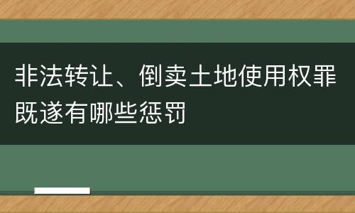 非法转让、倒卖土地使用权罪既遂有哪些惩罚