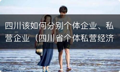 四川该如何分别个体企业、私营企业（四川省个体私营经济协会）