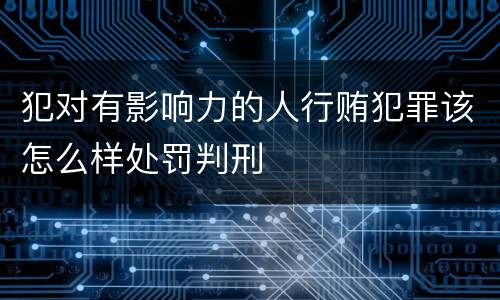 犯对有影响力的人行贿犯罪该怎么样处罚判刑