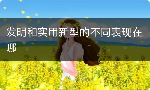 发明和实用新型的不同表现在哪