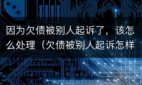 因为欠债被别人起诉了，该怎么处理（欠债被别人起诉怎样处理）