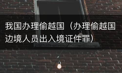 我国办理偷越国（办理偷越国边境人员出入境证件罪）