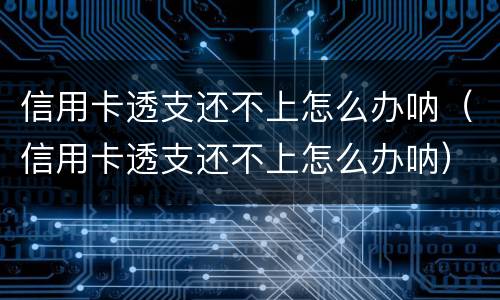 信用卡透支还不上怎么办呐（信用卡透支还不上怎么办呐）