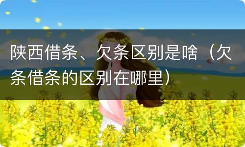 陕西借条、欠条区别是啥（欠条借条的区别在哪里）