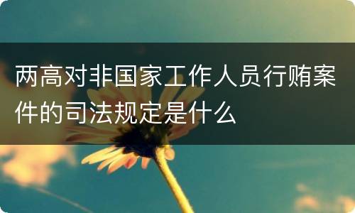 两高对非国家工作人员行贿案件的司法规定是什么