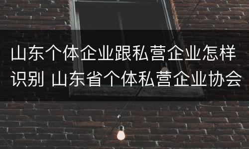 山东个体企业跟私营企业怎样识别 山东省个体私营企业协会