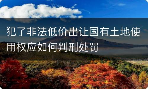 犯了非法低价出让国有土地使用权应如何判刑处罚