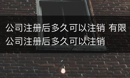 公司注册后多久可以注销 有限公司注册后多久可以注销