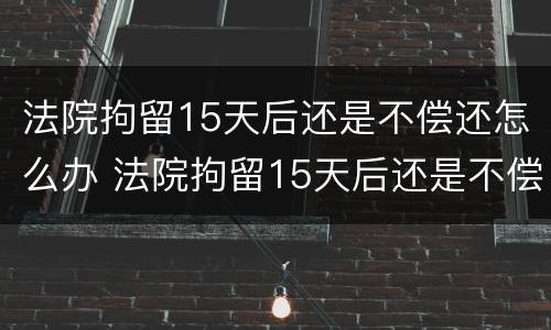 法院拘留15天后还是不偿还怎么办 法院拘留15天后还是不偿还怎么办呢