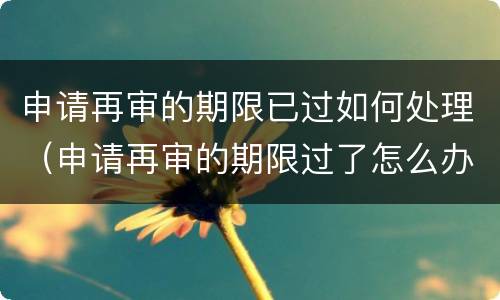 申请再审的期限已过如何处理（申请再审的期限过了怎么办）