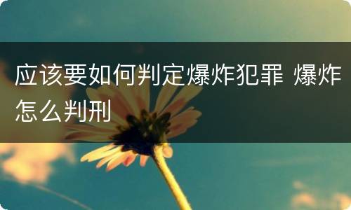 应该要如何判定爆炸犯罪 爆炸怎么判刑