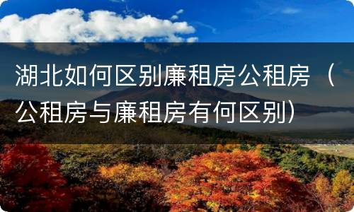 湖北如何区别廉租房公租房（公租房与廉租房有何区别）