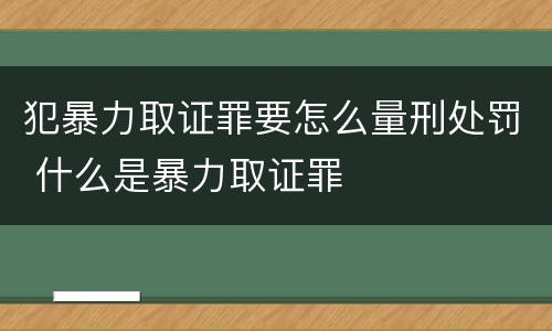 犯暴力取证罪要怎么量刑处罚 什么是暴力取证罪