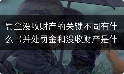罚金没收财产的关键不同有什么（并处罚金和没收财产是什么意思）