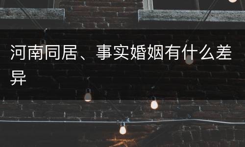 河南同居、事实婚姻有什么差异