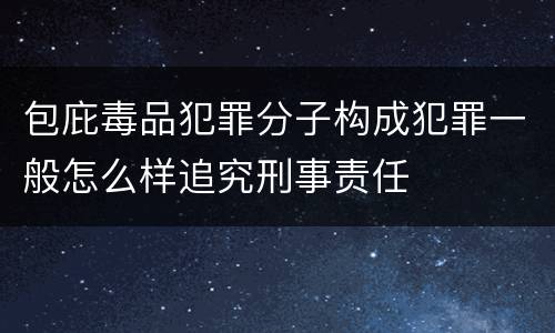 包庇毒品犯罪分子构成犯罪一般怎么样追究刑事责任