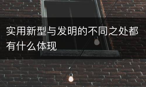 实用新型与发明的不同之处都有什么体现