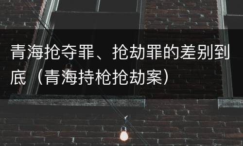 青海抢夺罪、抢劫罪的差别到底（青海持枪抢劫案）