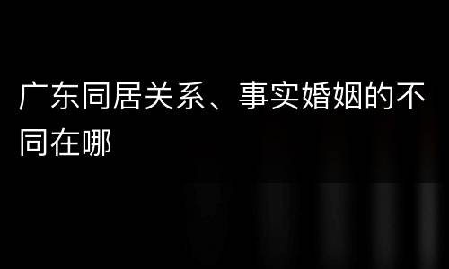 广东同居关系、事实婚姻的不同在哪