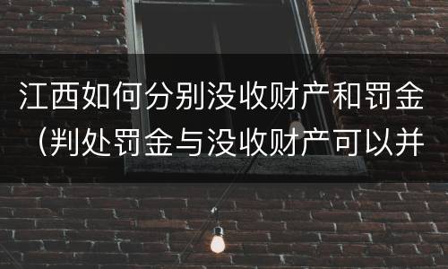 江西如何分别没收财产和罚金（判处罚金与没收财产可以并罚吗）