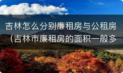 吉林怎么分别廉租房与公租房（吉林市廉租房的面积一般多大）