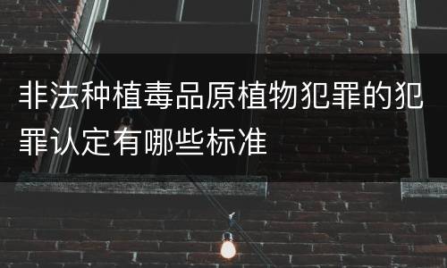 非法种植毒品原植物犯罪的犯罪认定有哪些标准