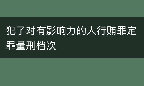 犯了对有影响力的人行贿罪定罪量刑档次
