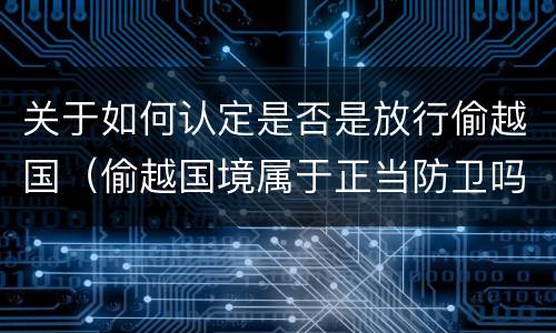关于如何认定是否是放行偷越国（偷越国境属于正当防卫吗）