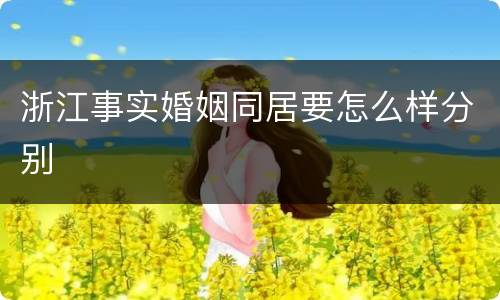 浙江事实婚姻同居要怎么样分别