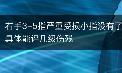 右手3-5指严重受损小指没有了具体能评几级伤残